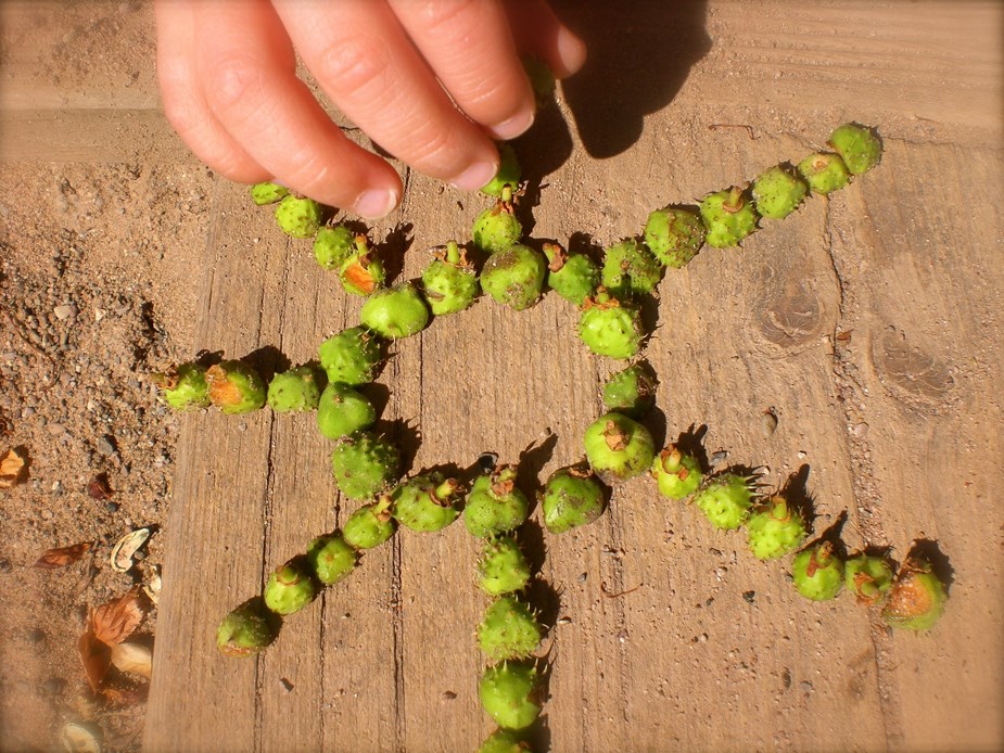 Natur-mandalas